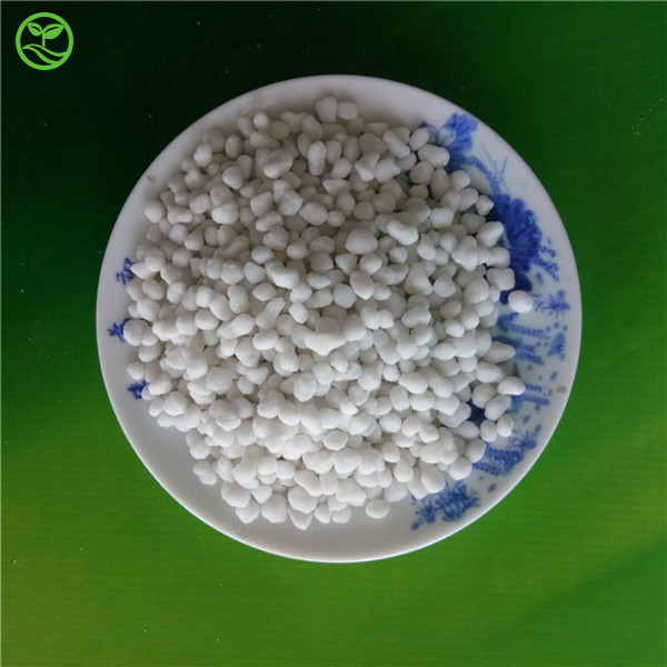 ammonium sulphate fertilizer (55)